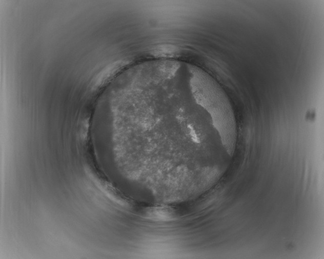 X0000113070652200909182026