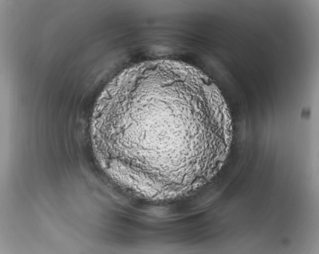 X0000113070653200909182026