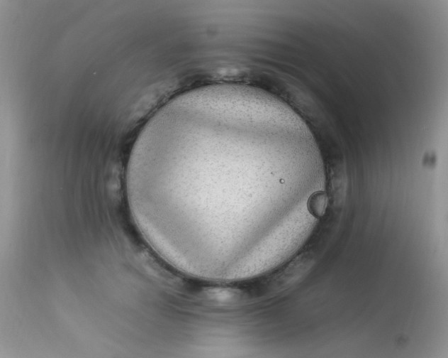 X0000113070654200909182026