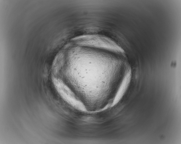 X0000113070655200909182026