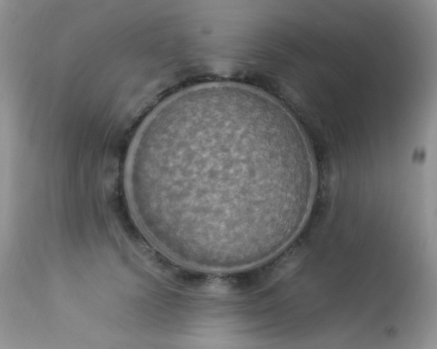 X0000113070656200909182026