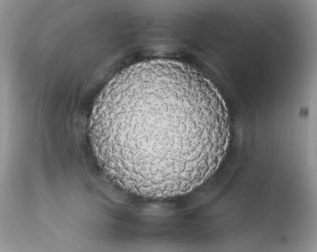 X0000113070657200909182026