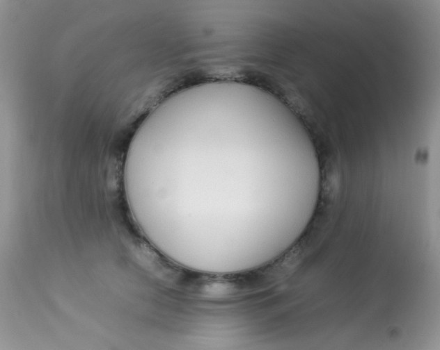 X0000113070658200909182026