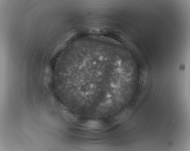 X0000113070659200909182026