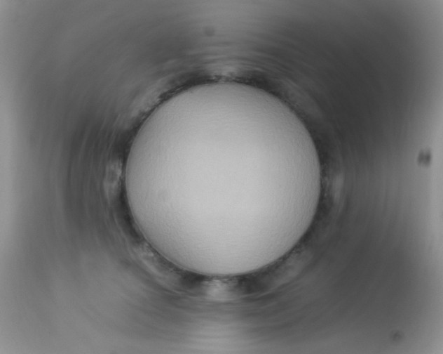 X0000113070660200909182026