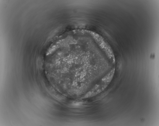 X0000113070661200909182026