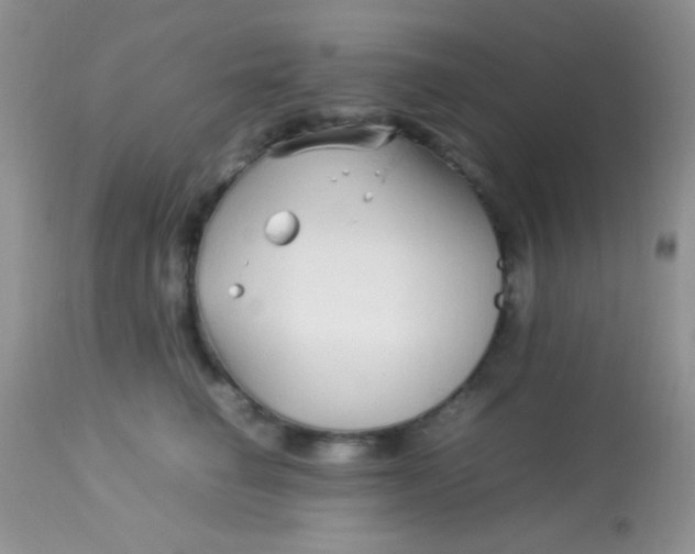 X0000113070662200909182026