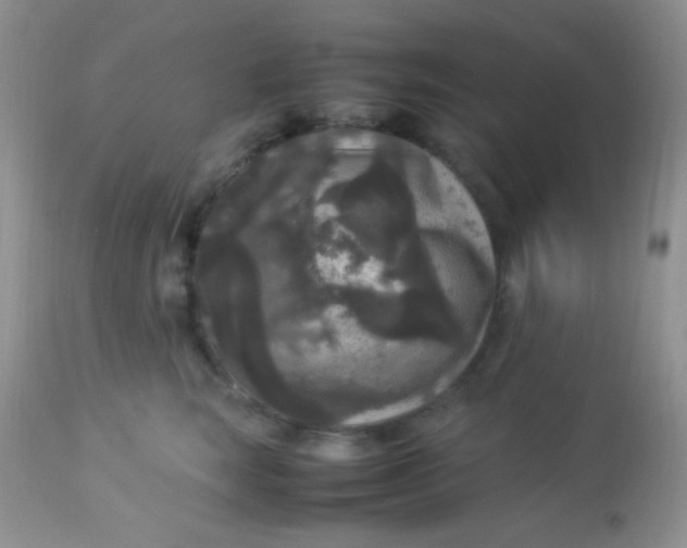 X0000113070663200909182026