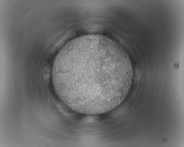 X0000113070664200909182026