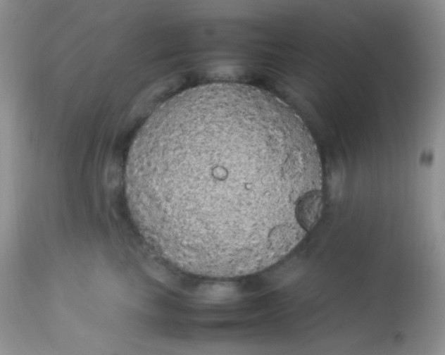 X0000113070665200909182026