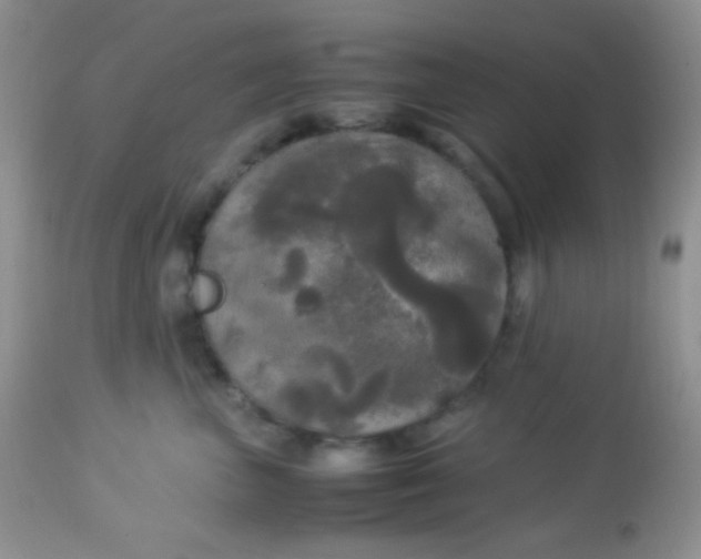 X0000113070667200909182026