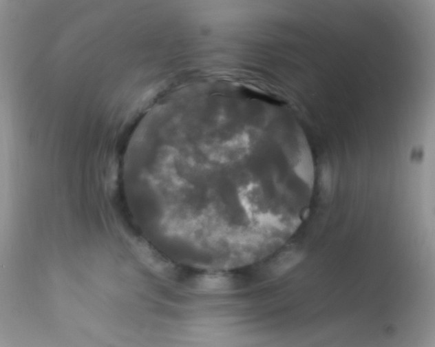 X0000113070668200909182026