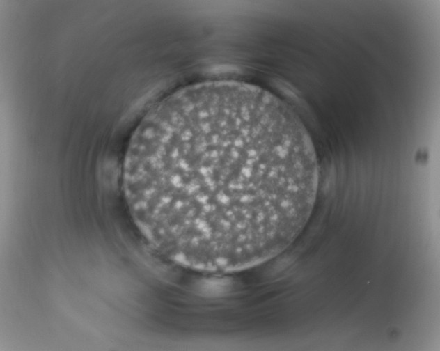 X0000113070669200909182026