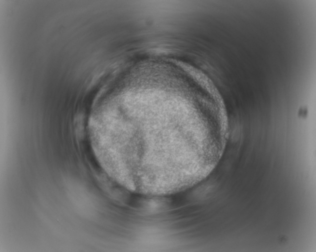 X0000113070670200909182026