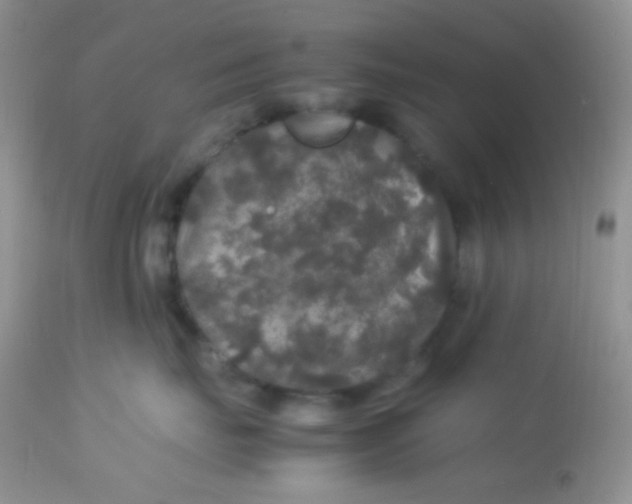 X0000113070671200909182026