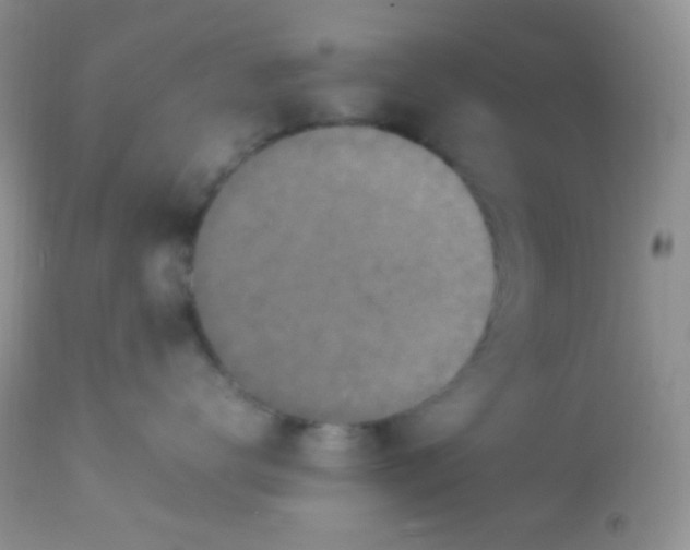 X0000113070672200909182026