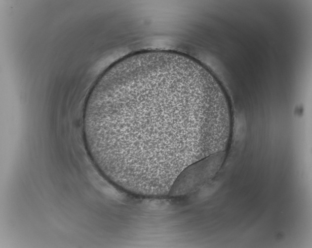 X0000113070673200909182025