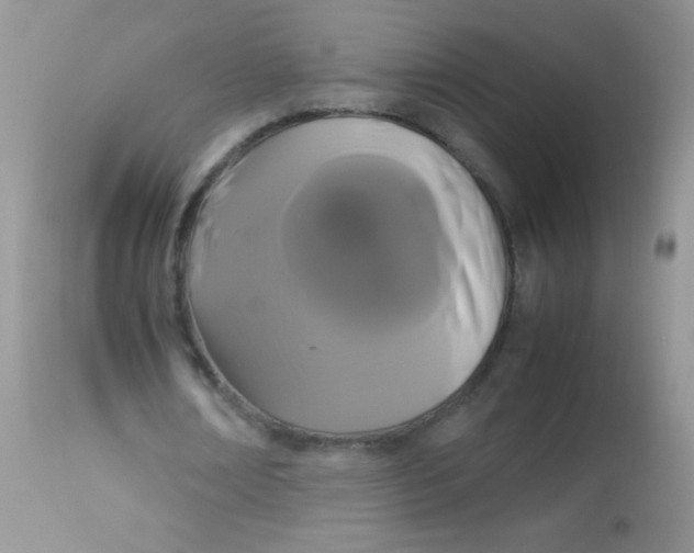 X0000113070674200909182025