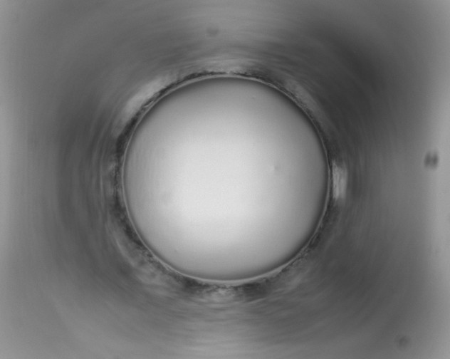 X0000113070675200909182025