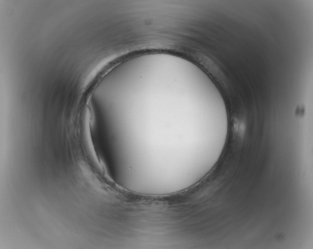 X0000113070676200909182025