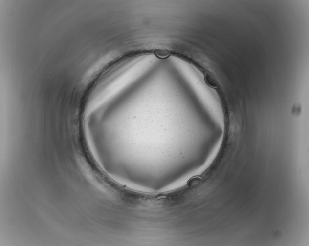 X0000113070677200909182025