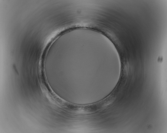 X0000113070678200909182025