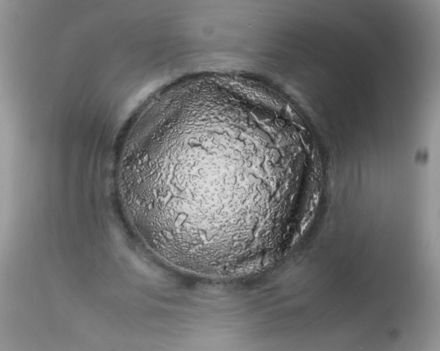 X0000113070679200909182025