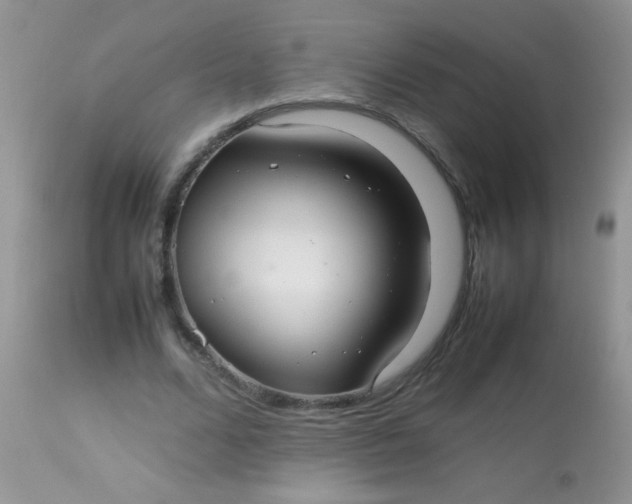 X0000113070680200909182025