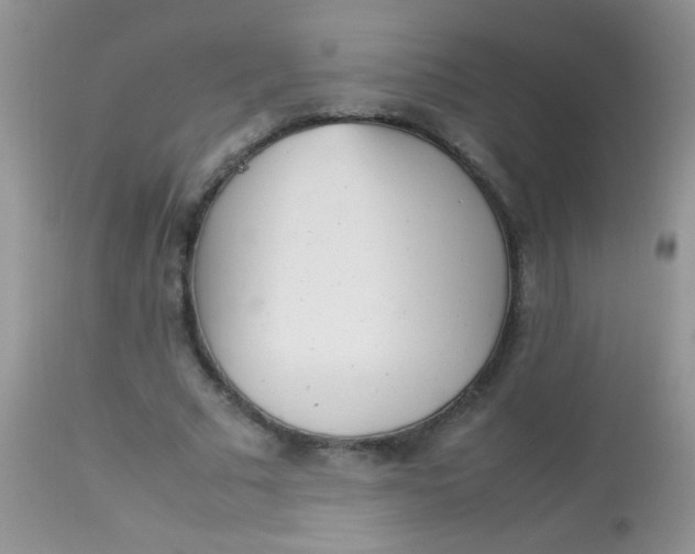 X0000113070681200909182025