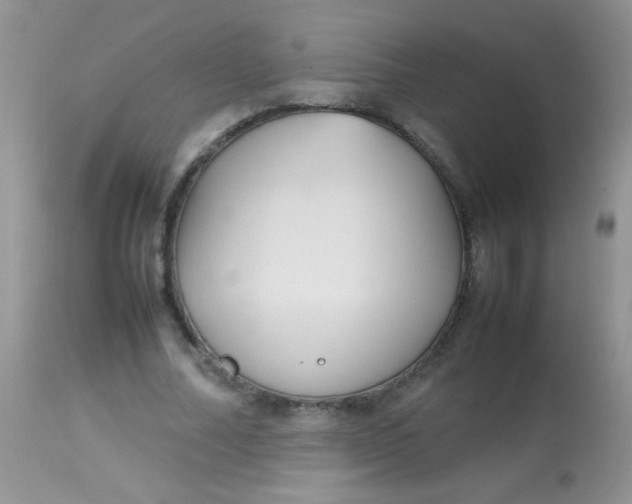 X0000113070682200909182025