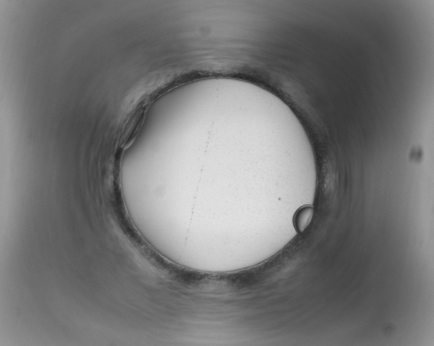 X0000113070685200909182025