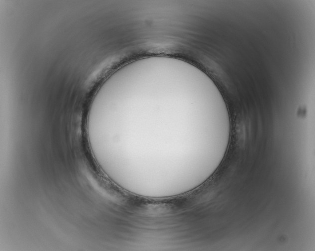 X0000113070686200909182025