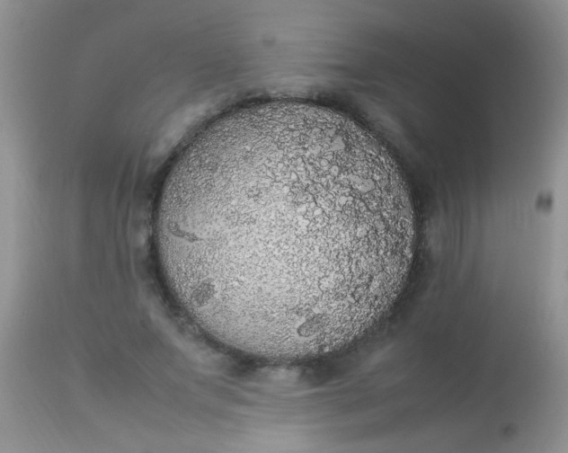 X0000113070687200909182025