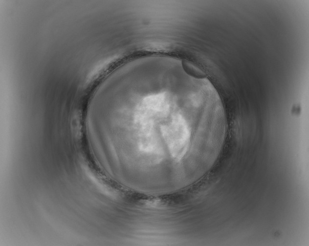 X0000113070688200909182025