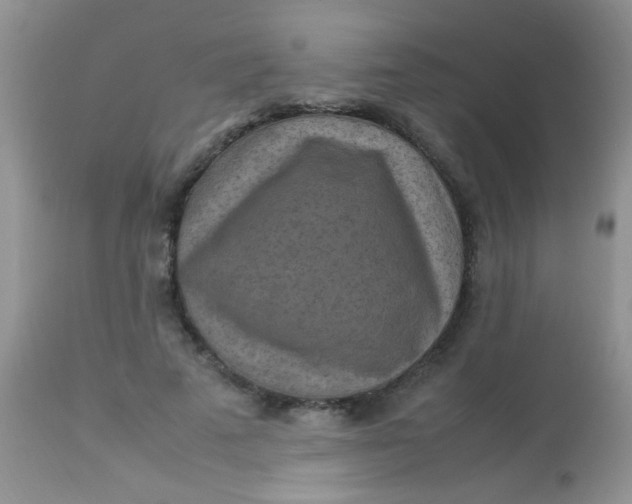 X0000113070689200909182025