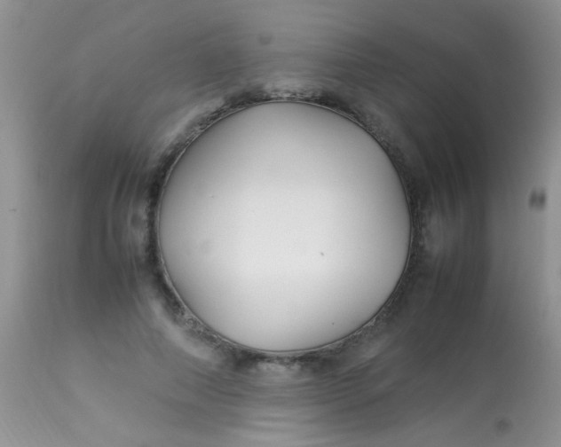 X0000113070690200909182025