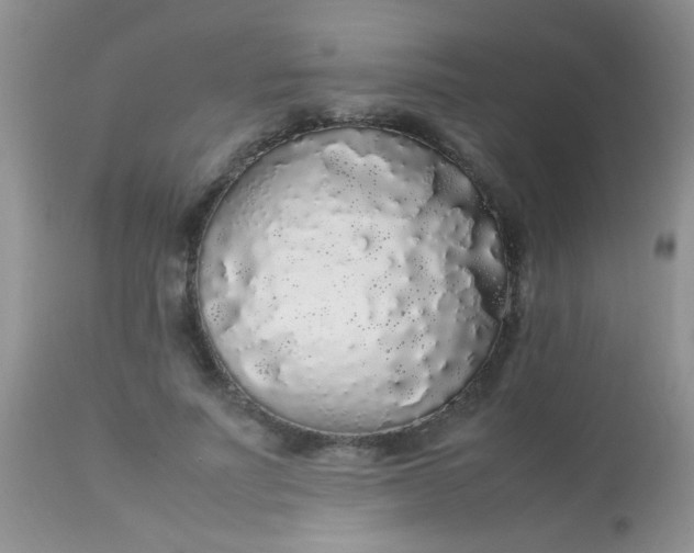 X0000113070691200909182025