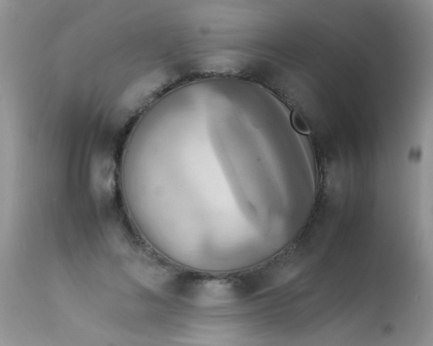 X0000113070692200909182025