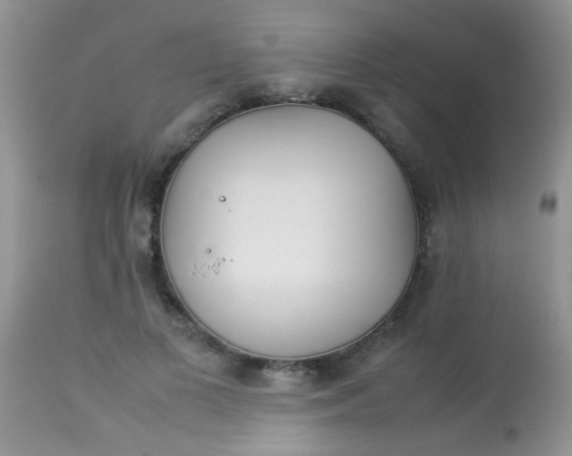 X0000113070693200909182025