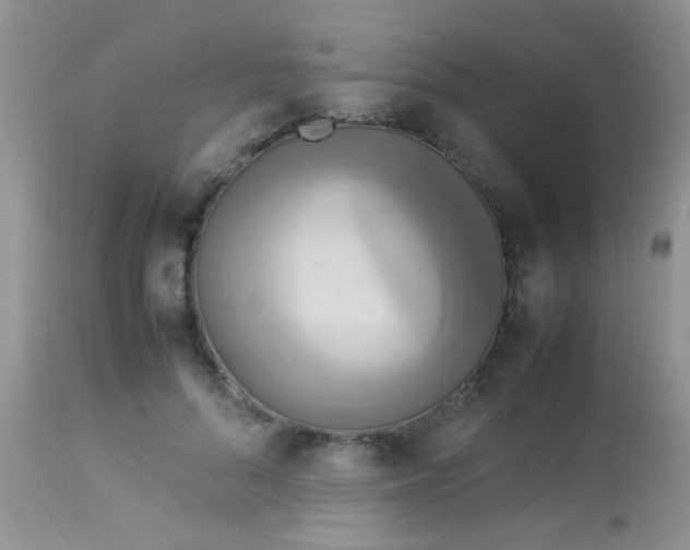 X0000113070696200909182025