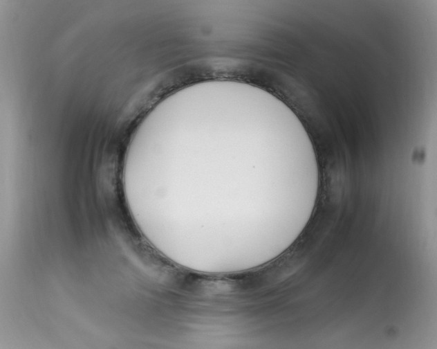 X0000113070698200909182025