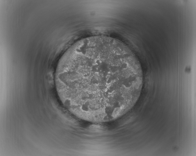 X0000113070699200909182025