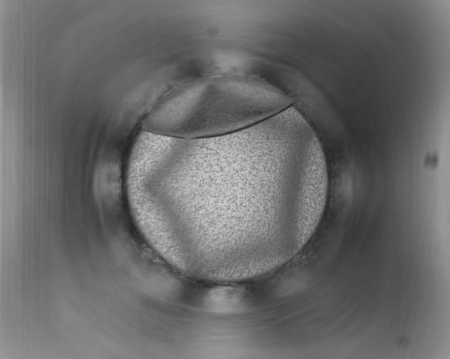 X0000113070700200909182025