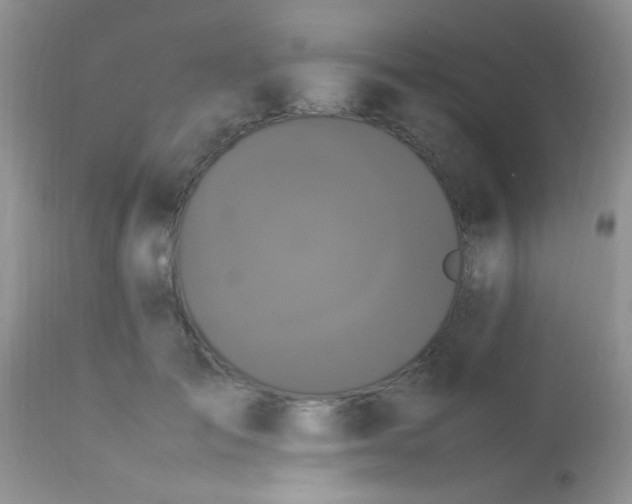 X0000113070701200909182025