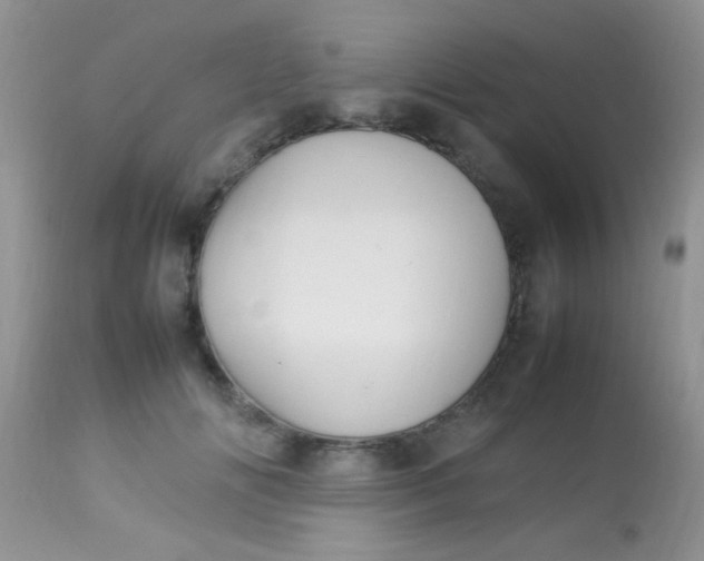 X0000113070702200909182025