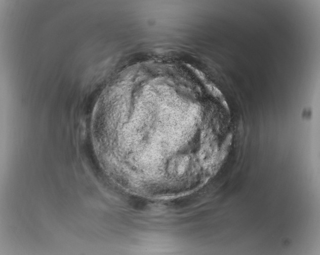 X0000113070703200909182025