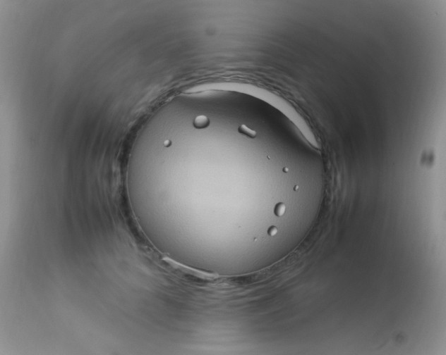 X0000113070704200909182025