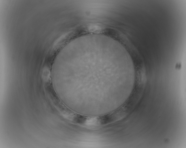 X0000113070705200909182025