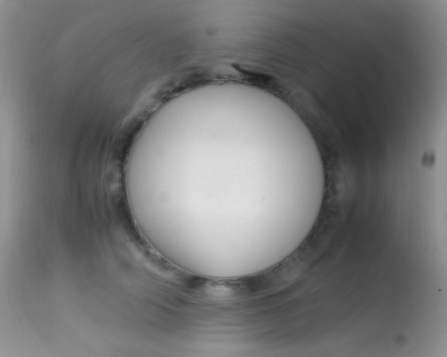 X0000113070706200909182025