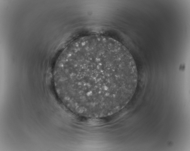 X0000113070707200909182025